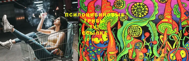 Псилоцибиновые грибы Cubensis  Каменка 